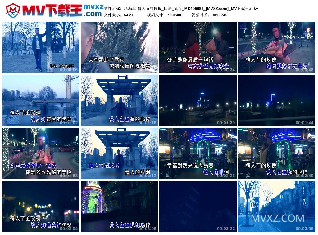 赵海军-情人节的玫瑰_国语_流行_MD105085